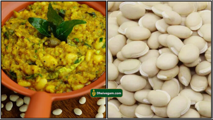 mochai paruppu sadam