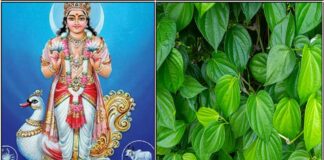 மனக்குழப்பம் நீங்க எளிமையான பரிகாரம் chanthira bhagavan betel leaf