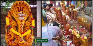 naga chadurthi