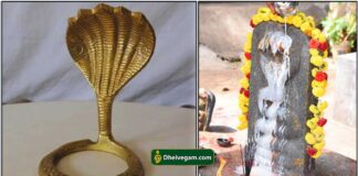 நாக சதுர்த்தி வழிபாடு 2024 naga-raja