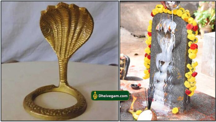 naga-raja