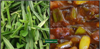 பிரண்டை குழம்பு செய்முறை pirandai kulambu