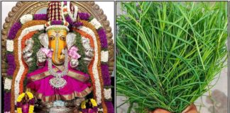 மகா சங்கடஹர சதுர்த்தி வழிபடும் முறை vinayagar arugampul