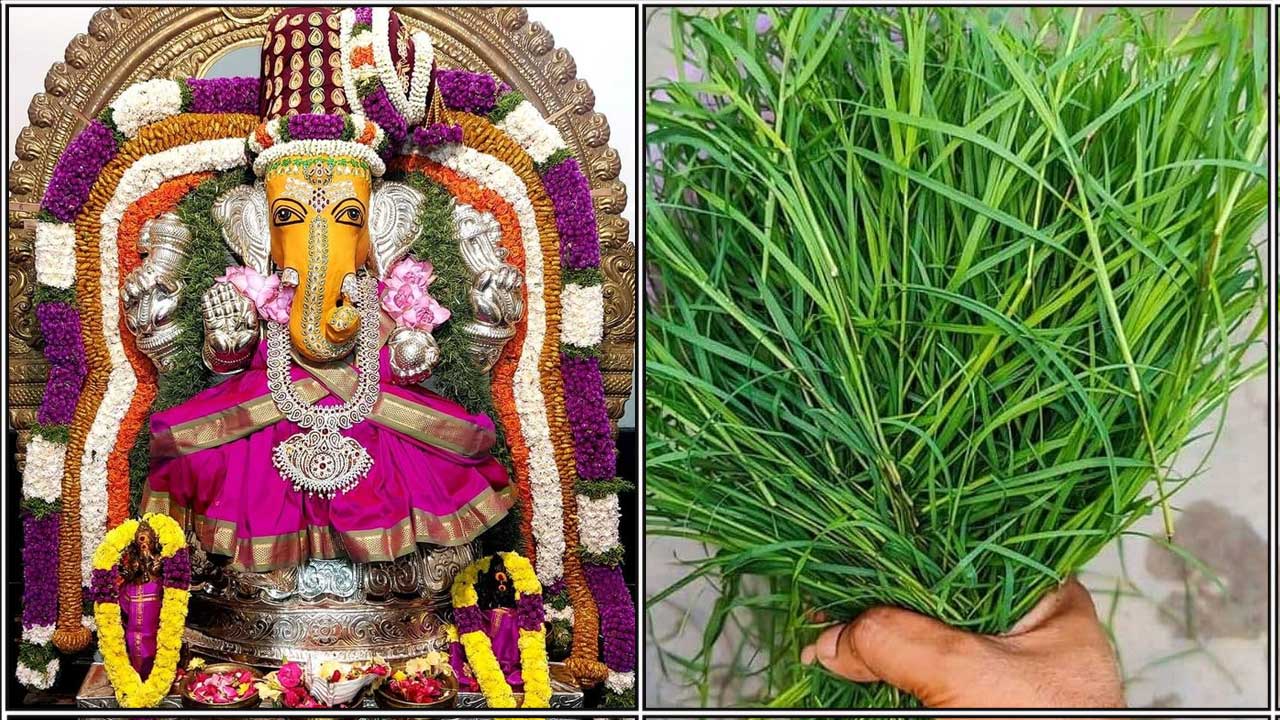 vinayagar arugampul