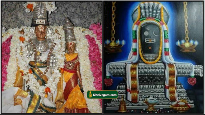sukran velleswarar