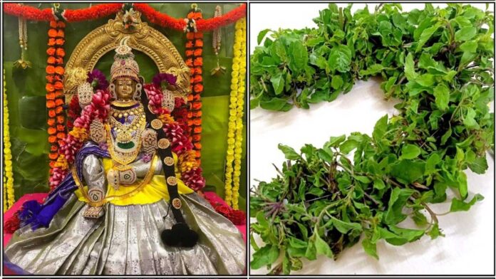 amman thulasi malai
