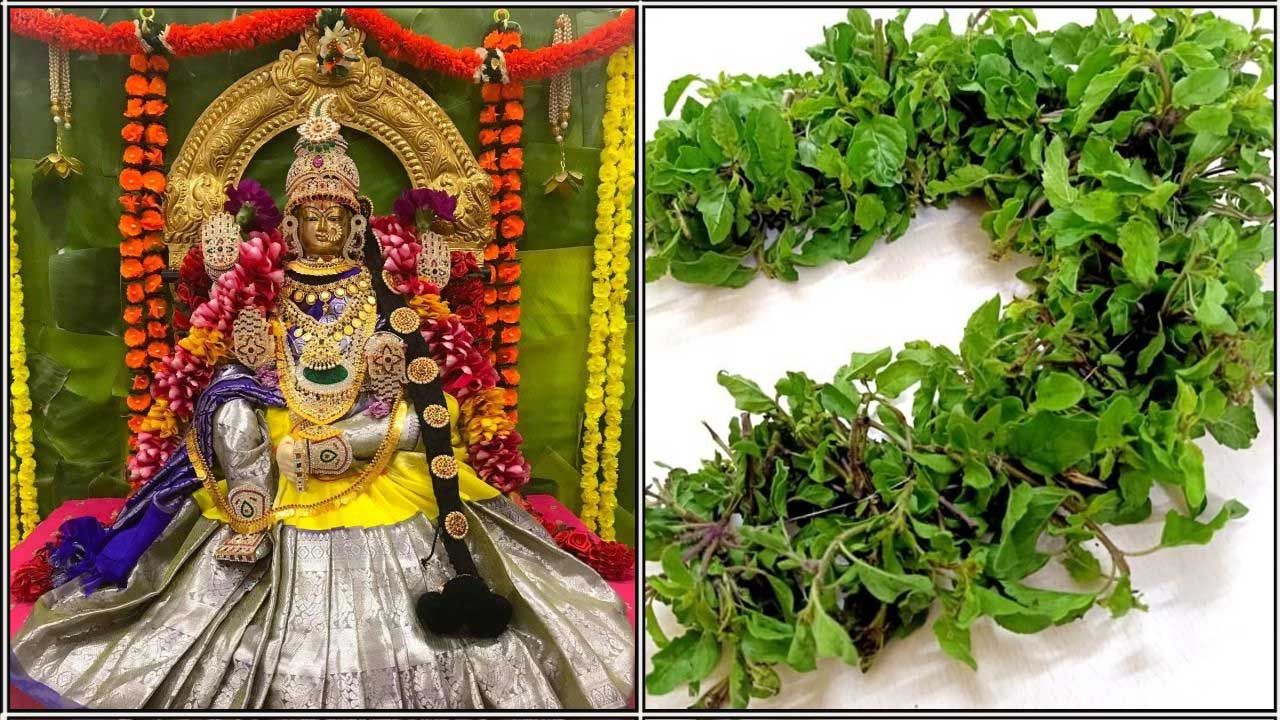 amman thulasi malai