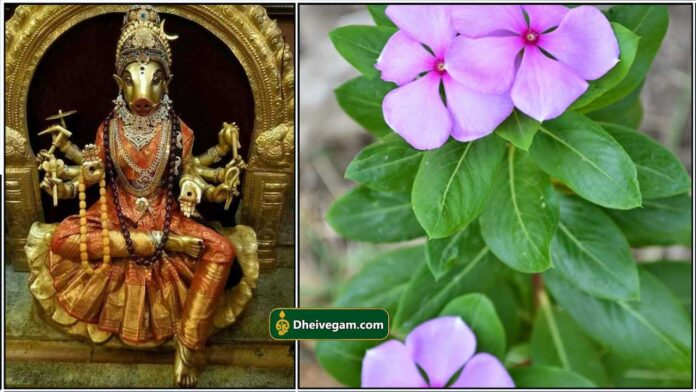 varahi