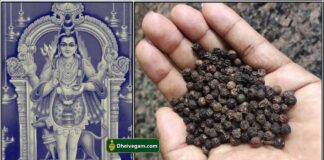 செவ்வாய்க்கிழமை அஷ்டமி திதி பரிகாரம் bairavar