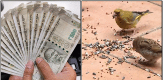 செல்வ செழிப்பு அதிகரிக்க செய்ய வேண்டிய தானம் birds thanam