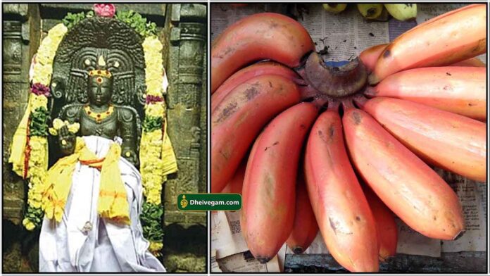 guru-sevvalai