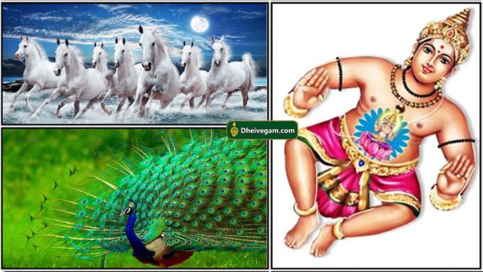 7 horse-peacock-vastu