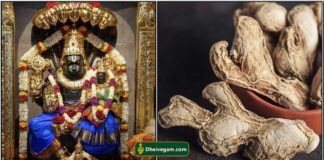 narasimmar