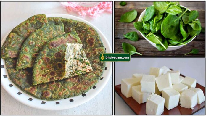 palak-paneer-chappathi