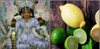 amman lemon