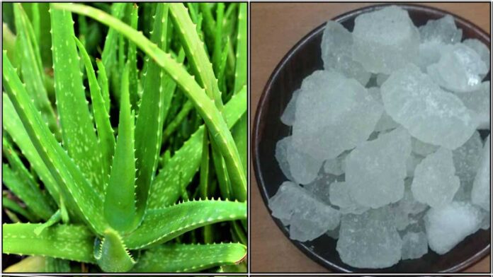 aloe vera kalkandu