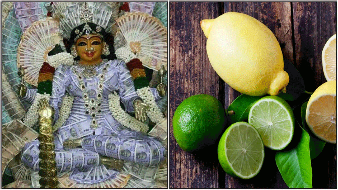 amman lemon