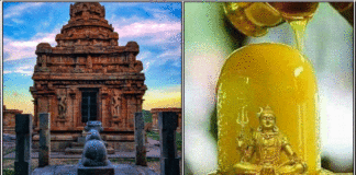 shivan kovil abishekam