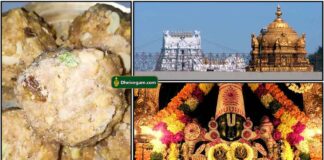 thirupati-perumal-laddu