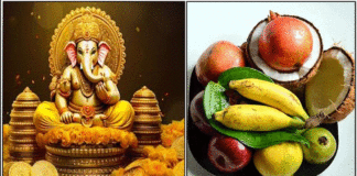 vinayagar friuts