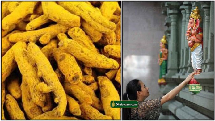 virali-manjal
