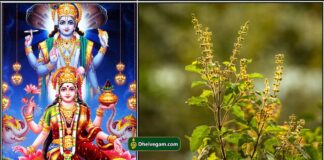 vishnu