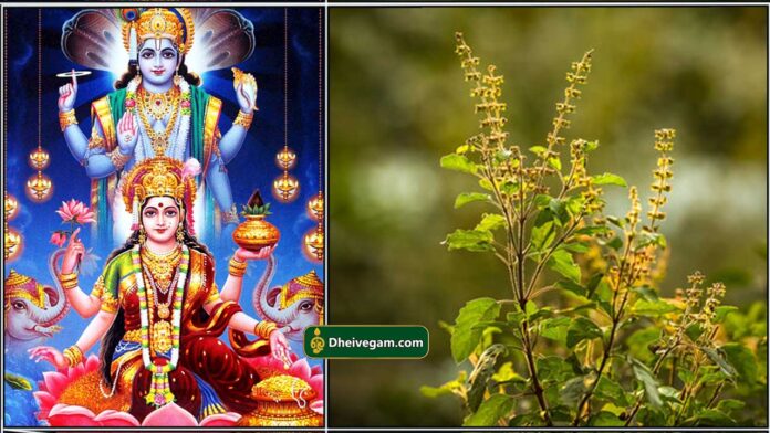 vishnu