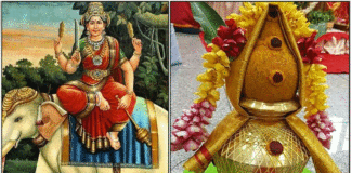 amman golu