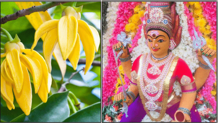 navarathiri amman