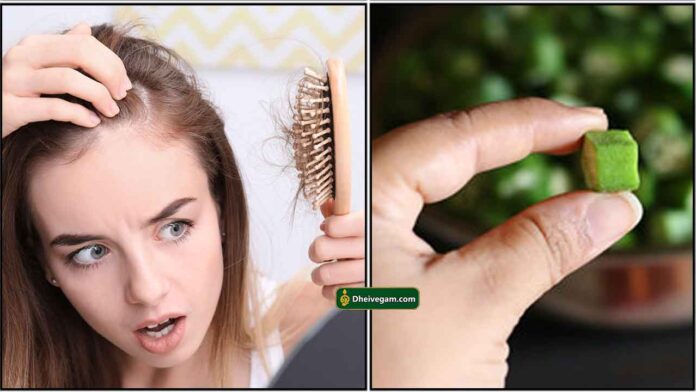 hair-loss-vendakkai