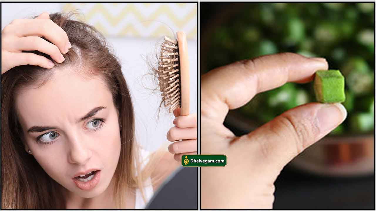 hair-loss-vendakkai