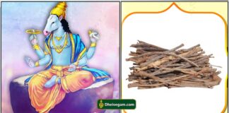 நன்றாக படிக்க நாயுருவி குச்சி பரிகாரம் hayagreevar