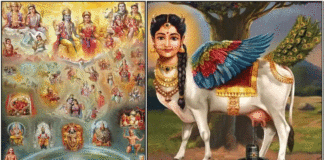 all god kamadhenu