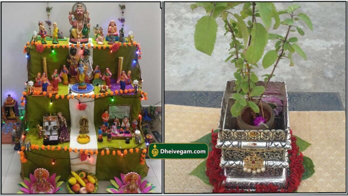 kolu