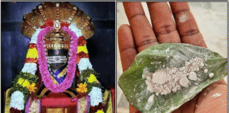 shiva lingam vibuthi