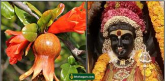 madhulai