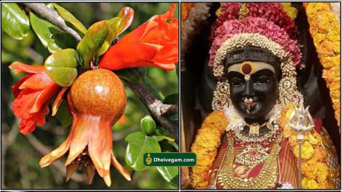madhulai