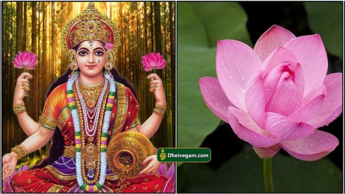mahalashmi