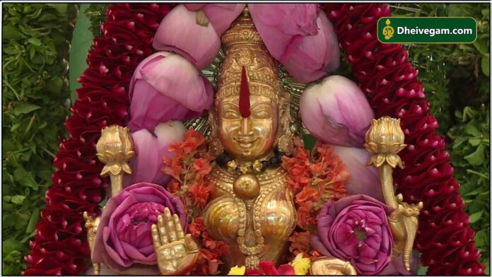mahalashmi1