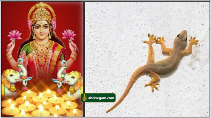 mahalshmi1