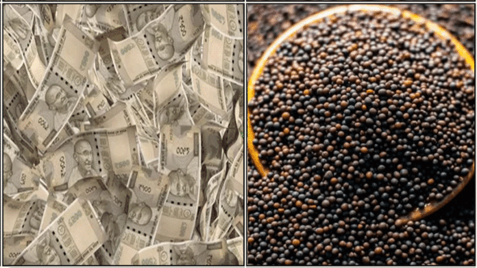 money mustard
