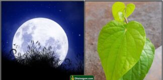 moon