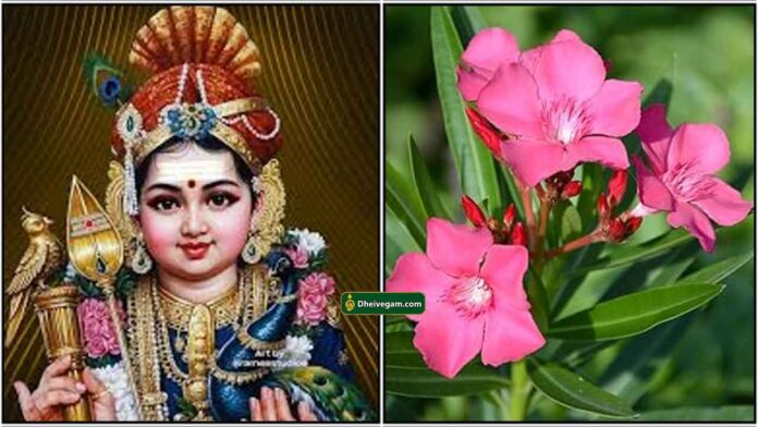 murugan-sevvarali