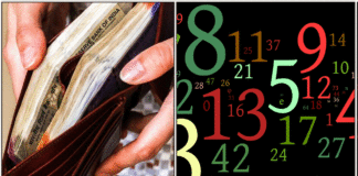 panam numbers