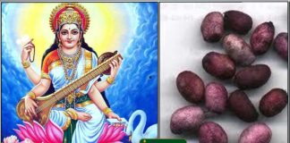 saraswathi