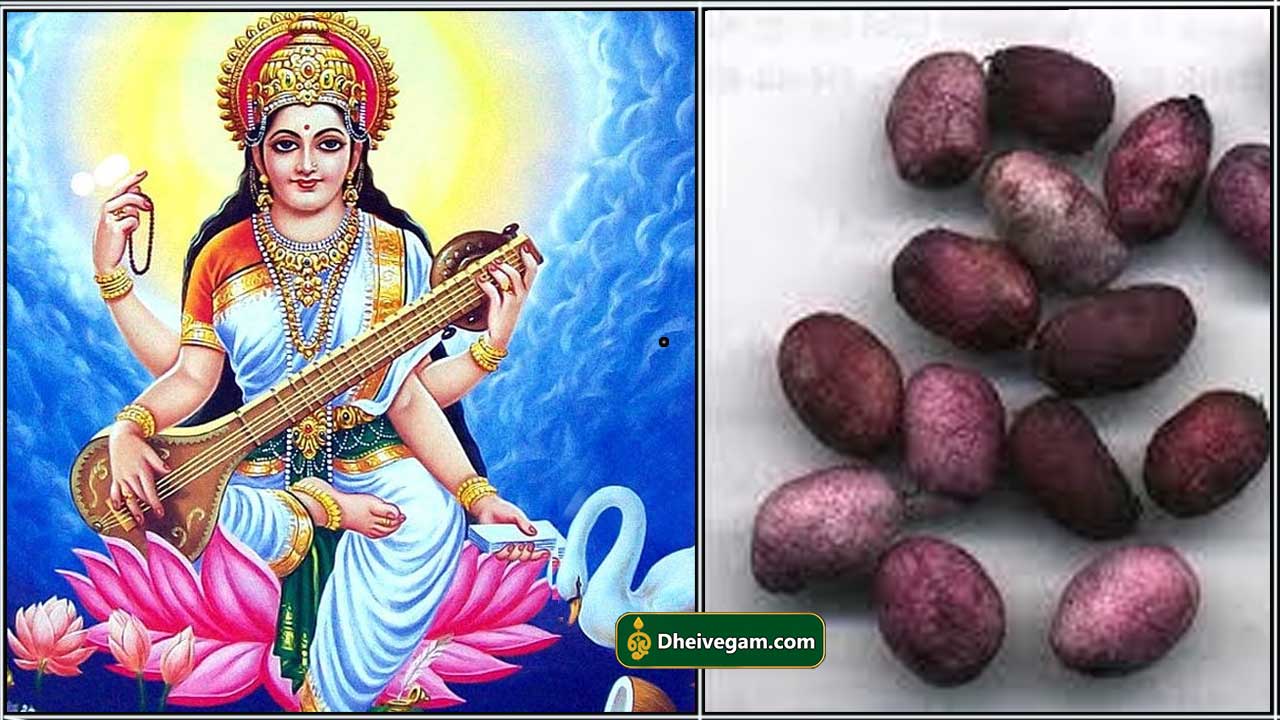 saraswathi