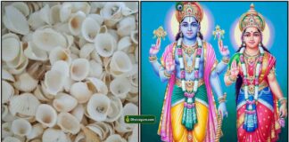 sippi-vishnu-lakshmi
