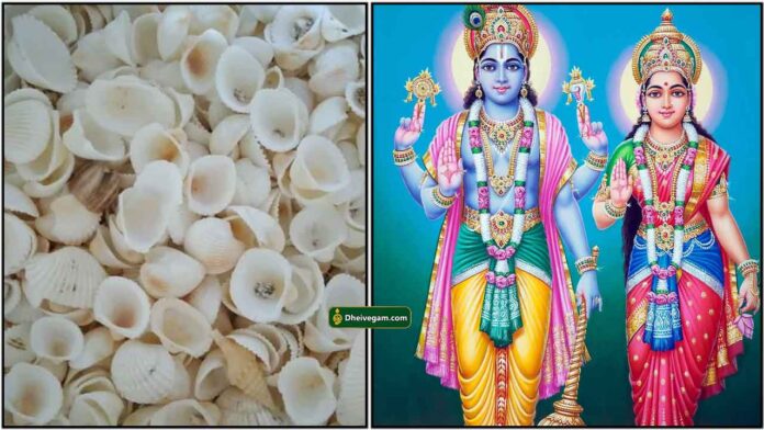 sippi-vishnu-lakshmi