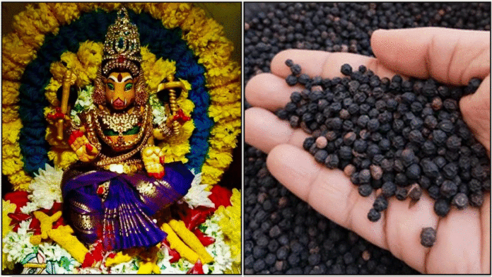 varahi pepper