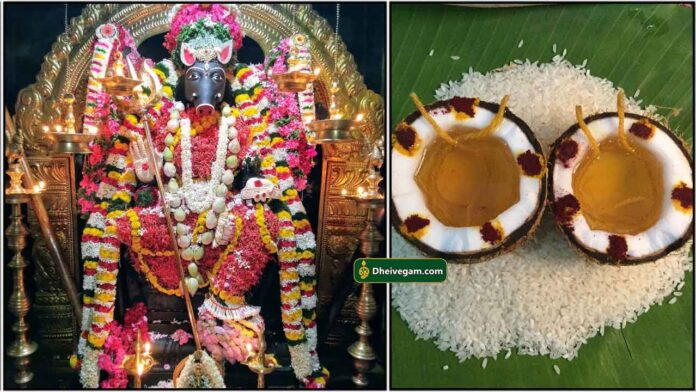 varahi-thengai-deepam
